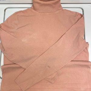 Long sleeve Casual silk turtleneck